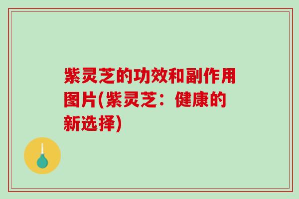 紫灵芝的功效和副作用图片(紫灵芝：健康的新选择)