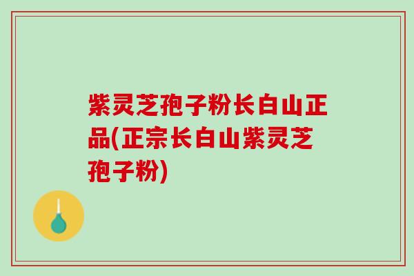 紫灵芝孢子粉长白山正品(正宗长白山紫灵芝孢子粉) 紫灵芝孢子粉长白山正品(正宗长白山紫灵芝孢子粉)