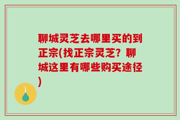 聊城灵芝去哪里买的到正宗(找正宗灵芝？聊城这里有哪些购买途径)