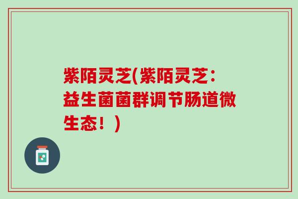 紫陌灵芝(紫陌灵芝：益生菌菌群调节肠道微生态！)