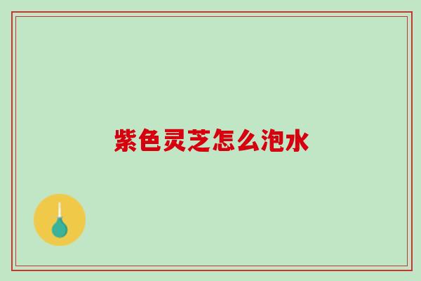 紫色灵芝怎么泡水