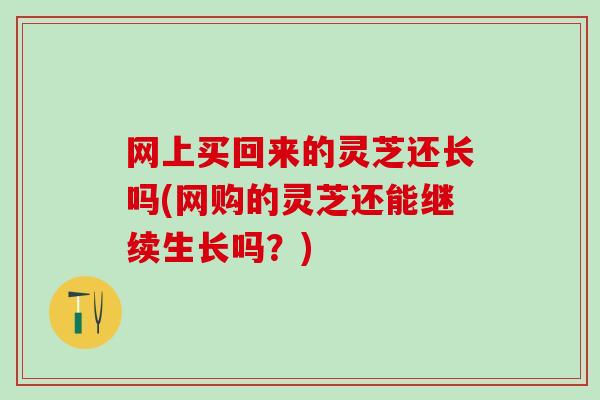 网上买回来的灵芝还长吗(网购的灵芝还能继续生长吗？)