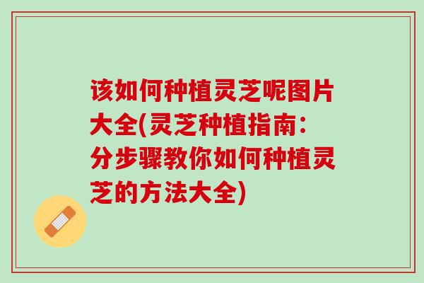 该如何种植灵芝呢图片大全(灵芝种植指南：分步骤教你如何种植灵芝的方法大全)