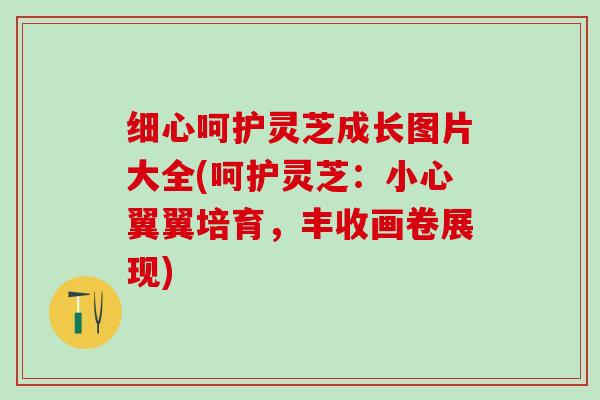细心呵护灵芝成长图片大全(呵护灵芝：小心翼翼培育，丰收画卷展现)