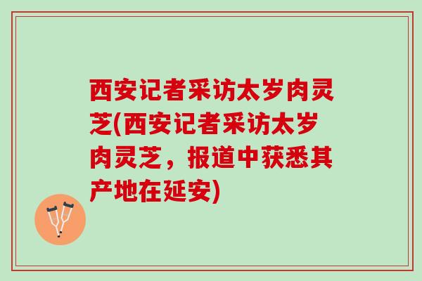 西安记者采访太岁肉灵芝(西安记者采访太岁肉灵芝，报道中获悉其产地在延安)