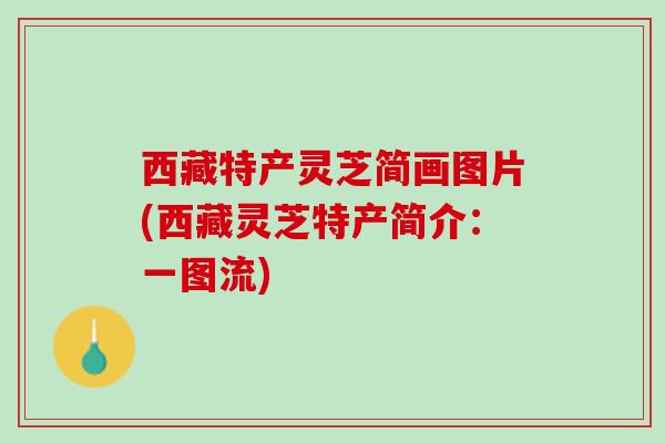 西藏特产灵芝简画图片(西藏灵芝特产简介：一图流)