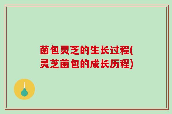 菌包灵芝的生长过程(灵芝菌包的成长历程) 菌包灵芝的生长过程(灵芝菌包的成长历程)