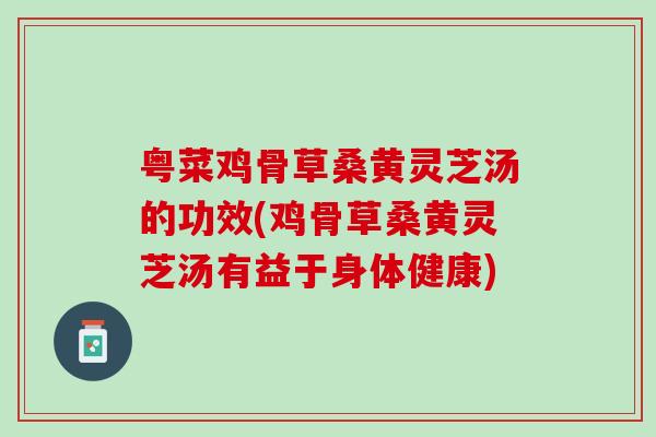 粤菜鸡骨草桑黄灵芝汤的功效(鸡骨草桑黄灵芝汤有益于身体健康)