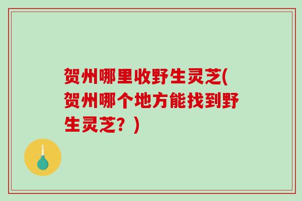 贺州哪里收野生灵芝(贺州哪个地方能找到野生灵芝？)
