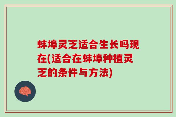 蚌埠灵芝适合生长吗现在(适合在蚌埠种植灵芝的条件与方法)