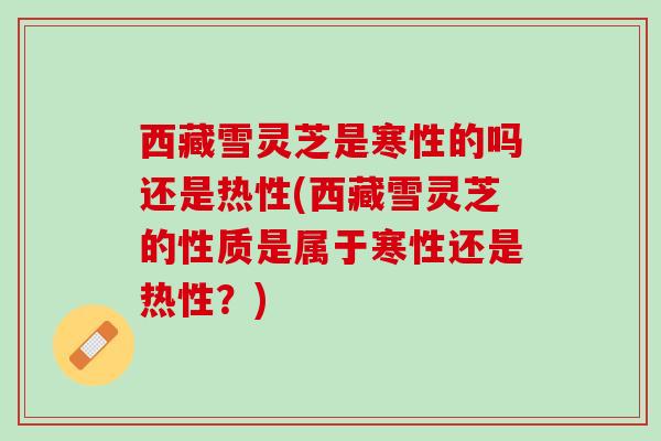 西藏雪灵芝是寒性的吗还是热性(西藏雪灵芝的性质是属于寒性还是热性？)