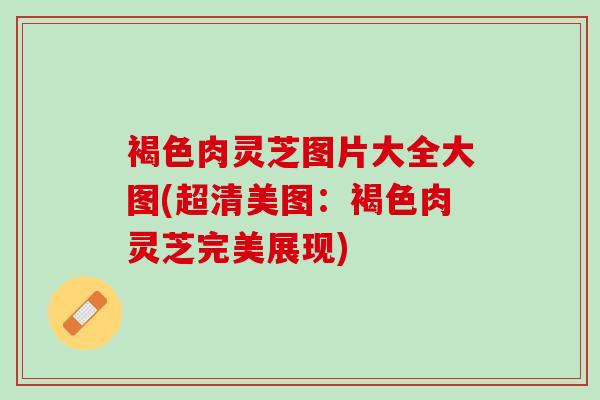 褐色肉灵芝图片大全大图(超清美图：褐色肉灵芝完美展现)