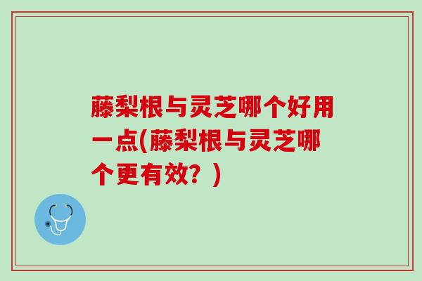 藤梨根与灵芝哪个好用一点(藤梨根与灵芝哪个更有效？)