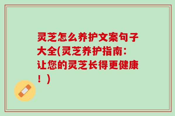 灵芝怎么养护文案句子大全(灵芝养护指南：让您的灵芝长得更健康！)