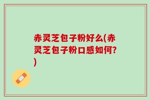 赤灵芝包子粉好么(赤灵芝包子粉口感如何？)