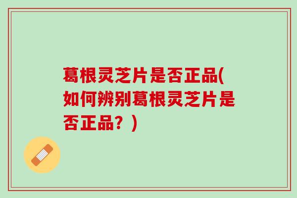 葛根灵芝片是否正品(如何辨别葛根灵芝片是否正品？)