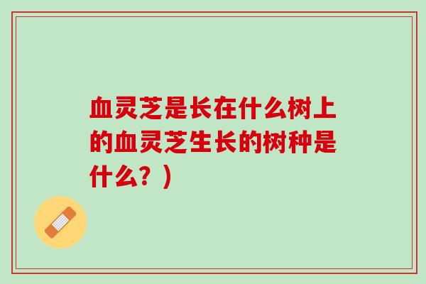 血灵芝是长在什么树上的血灵芝生长的树种是什么？)
