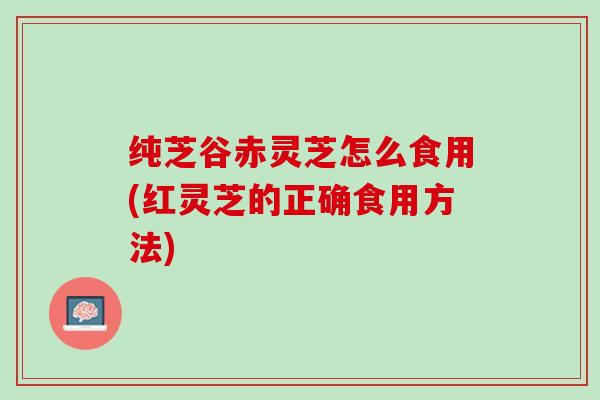 纯芝谷赤灵芝怎么食用(红灵芝的正确食用方法)