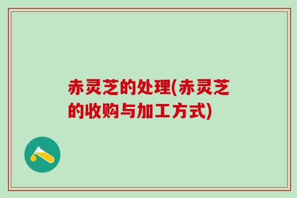 赤灵芝的处理(赤灵芝的收购与加工方式)