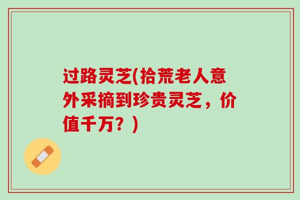 过路灵芝(拾荒老人意外采摘到珍贵灵芝，价值千万？)