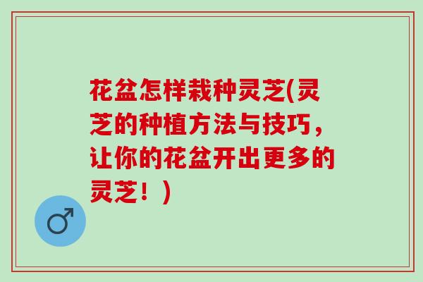 花盆怎样栽种灵芝(灵芝的种植方法与技巧，让你的花盆开出更多的灵芝！)