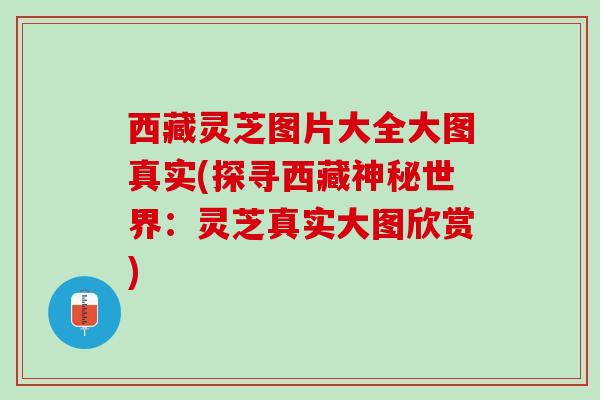 西藏灵芝图片大全大图真实(探寻西藏神秘世界:灵芝真实大图欣赏) 西藏灵芝图片大全大图真实(探寻西藏神秘世界:灵芝真实大图欣赏)