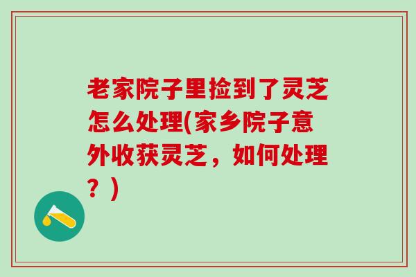 老家院子里捡到了灵芝怎么处理(家乡院子意外收获灵芝，如何处理？)