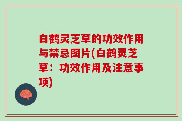 白鹤灵芝草的功效作用与禁忌图片(白鹤灵芝草：功效作用及注意事项)