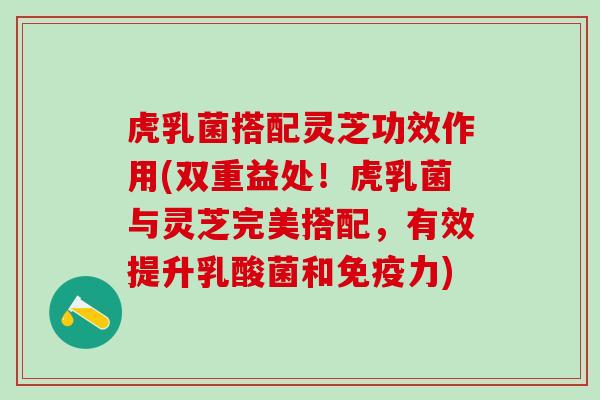虎乳菌搭配灵芝功效作用(双重益处！虎乳菌与灵芝完美搭配，有效提升乳酸菌和免疫力)