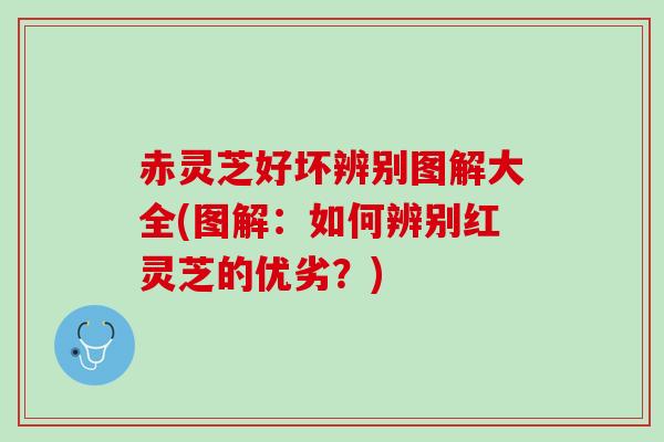 赤灵芝好坏辨别图解大全(图解：如何辨别红灵芝的优劣？)