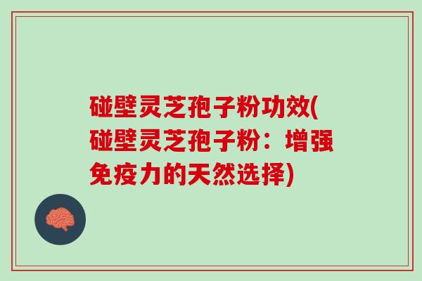 碰壁灵芝孢子粉功效(碰壁灵芝孢子粉：增强免疫力的天然选择)