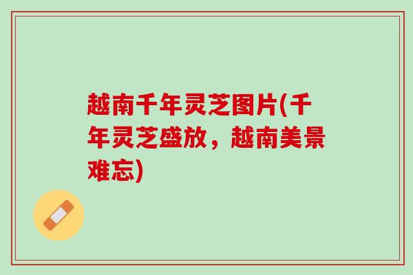 越南千年灵芝图片(千年灵芝盛放，越南美景难忘)