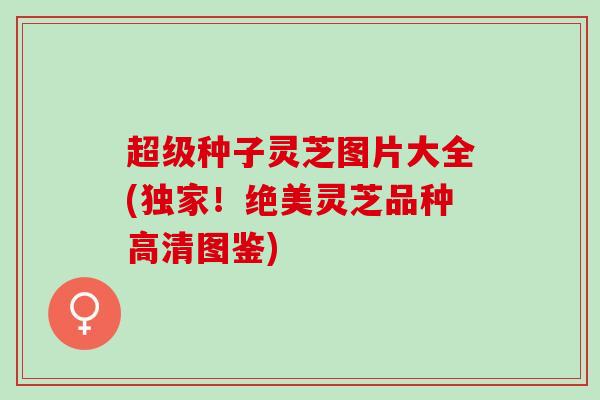 超级种子灵芝图片大全(独家！绝美灵芝品种高清图鉴)