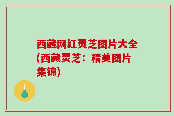 西藏网红灵芝图片大全(西藏灵芝:精美图片集锦) 西藏网红灵芝图片大全(西藏灵芝:精美图片集锦)