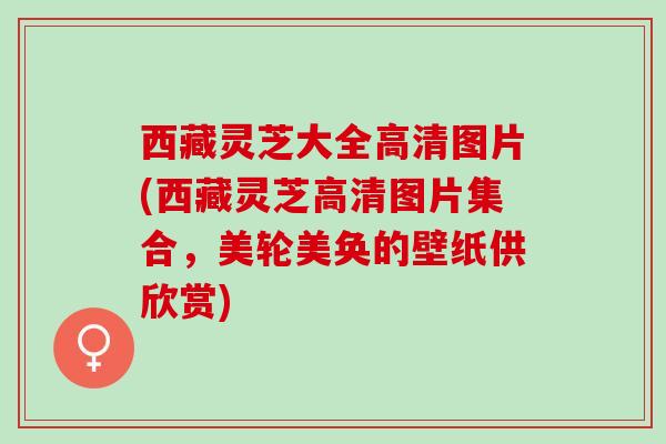 西藏灵芝大全高清图片(西藏灵芝高清图片集合，美轮美奂的壁纸供欣赏)