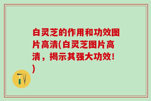 白灵芝的作用和功效图片高清(白灵芝图片高清，揭示其强大功效！)