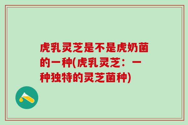虎乳灵芝是不是虎奶菌的一种(虎乳灵芝：一种独特的灵芝菌种)