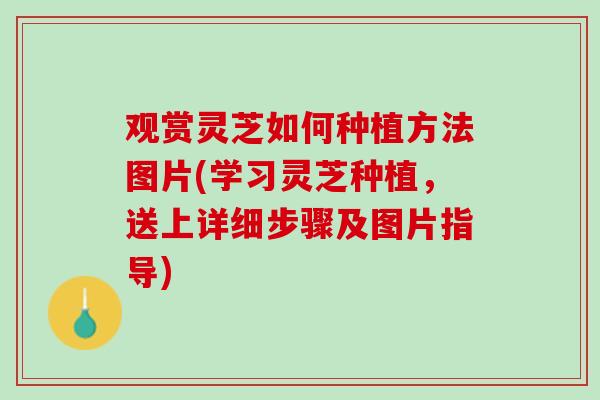 观赏灵芝如何种植方法图片(学习灵芝种植,送上详细步骤及图片指导) 观赏灵芝如何种植方法图片(学习灵芝种植,送上详细步骤及图片指导)