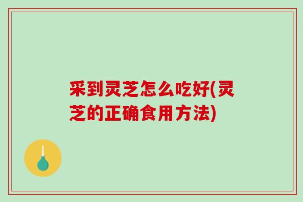 采到灵芝怎么吃好(灵芝的正确食用方法)