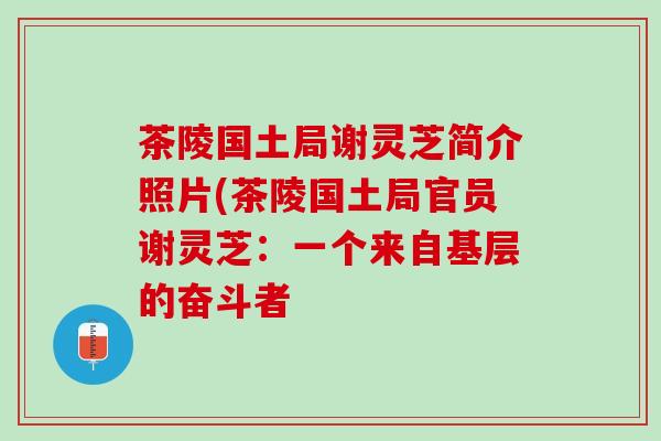 茶陵国土局谢灵芝简介照片(茶陵国土局官员谢灵芝：一个来自基层的奋斗者