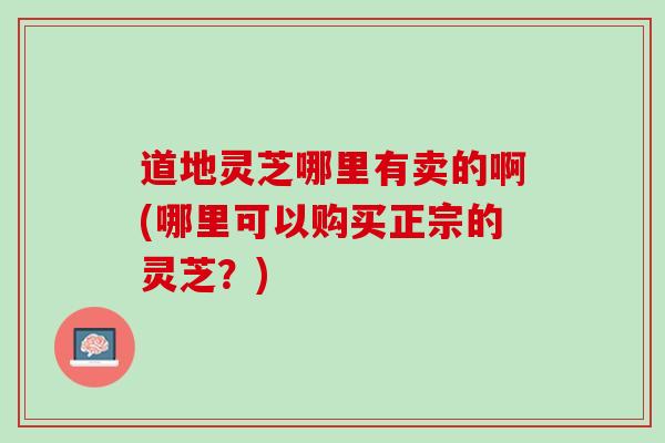 道地灵芝哪里有卖的啊(哪里可以购买正宗的灵芝？)