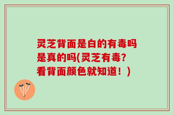 灵芝背面是白的有毒吗是真的吗(灵芝有毒？看背面颜色就知道！)