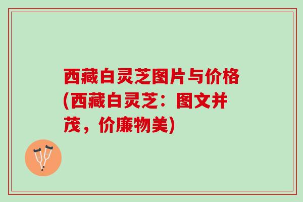 西藏白灵芝图片与价格(西藏白灵芝:图文并茂,价廉物美) 西藏白灵芝图片与价格(西藏白灵芝:图文并茂,价廉物美)