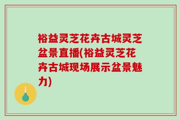 裕益灵芝花卉古城灵芝盆景直播(裕益灵芝花卉古城现场展示盆景魅力)