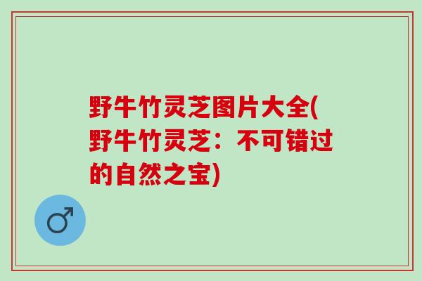 野牛竹灵芝图片大全(野牛竹灵芝:不可错过的自然之宝) 野牛竹灵芝图片大全(野牛竹灵芝:不可错过的自然之宝)