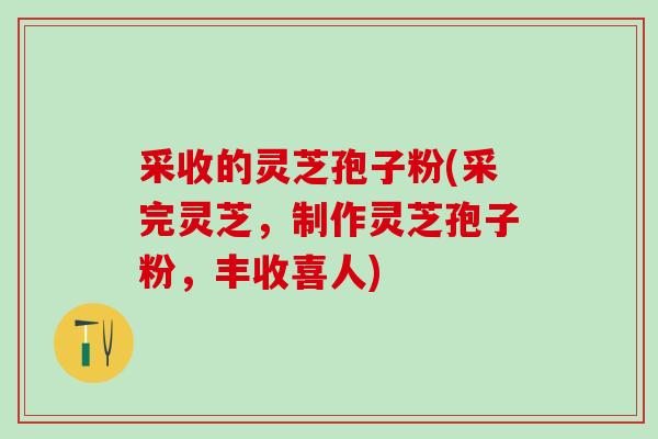 采收的灵芝孢子粉(采完灵芝，制作灵芝孢子粉，丰收喜人)