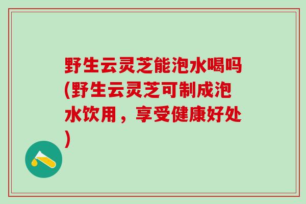 野生云灵芝能泡水喝吗(野生云灵芝可制成泡水饮用，享受健康好处)