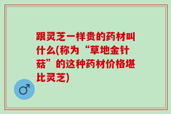 跟灵芝一样贵的药材叫什么(称为“草地金针菇”的这种药材价格堪比灵芝) 跟灵芝一样贵的药材叫什么(称为“草地金针菇”的这种药材价格堪比灵芝)