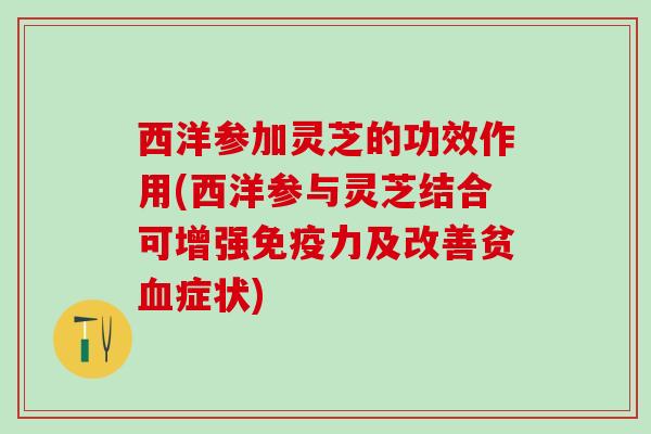西洋参加灵芝的功效作用(西洋参与灵芝结合可增强免疫力及改善贫血症状)