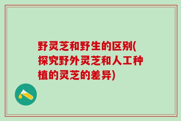 野灵芝和野生的区别(探究野外灵芝和人工种植的灵芝的差异)